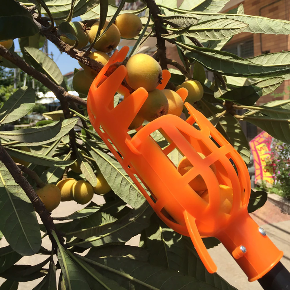 Easy Fruit 2-In-1 Picker & Basket