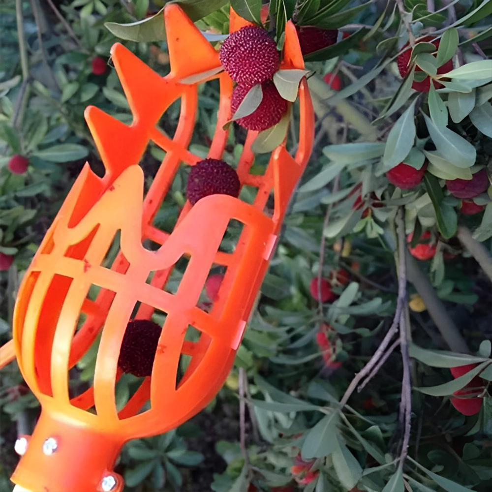 Easy Fruit 2-In-1 Picker & Basket