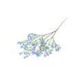 Blue (3 Bunches)