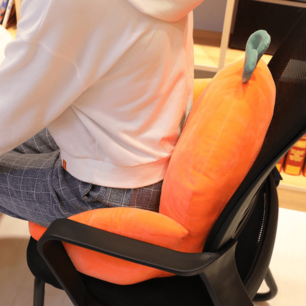 Sedentary Backrest Cushion