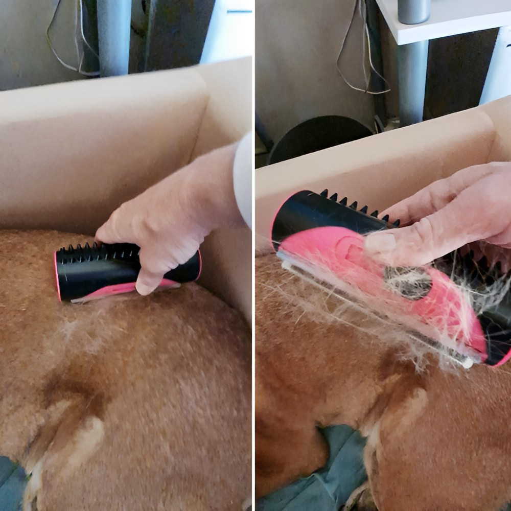Pet Hair Remover Comb