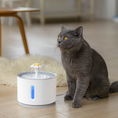 Cat Water Fountain