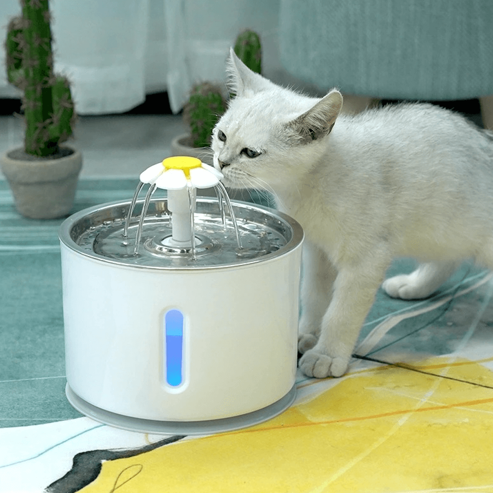 Cat Water Fountain