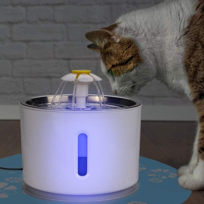 Cat Water Fountain