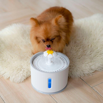 Cat Water Fountain