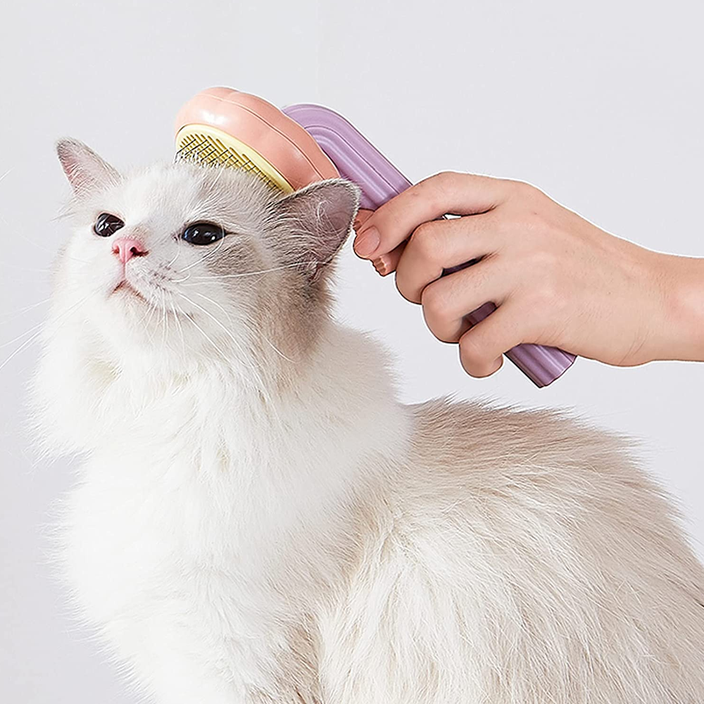 Pumpkin Pop Pet Brush