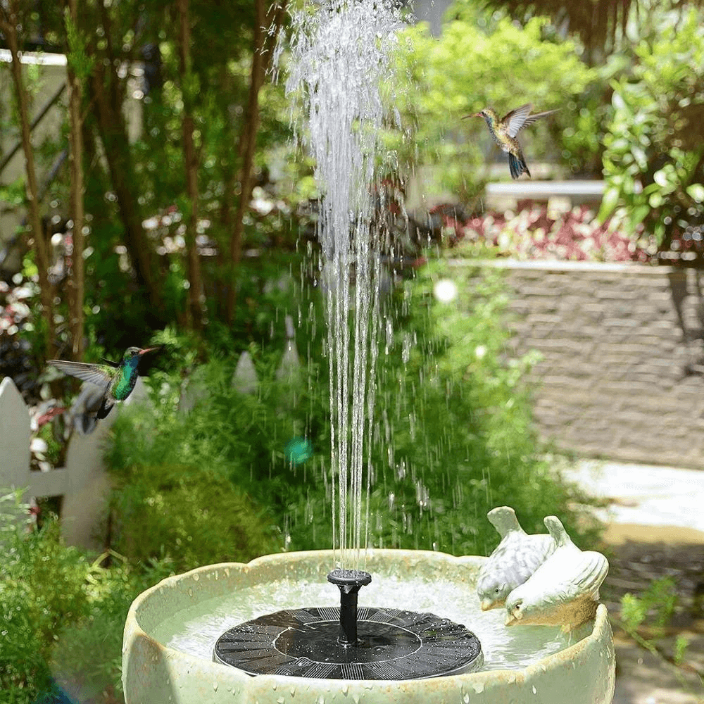 Solar-Powered Bird Fountain Kit - No Setup!