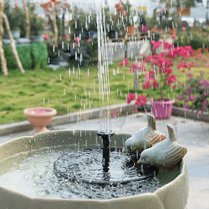 Solar-Powered Bird Fountain Kit - No Setup!