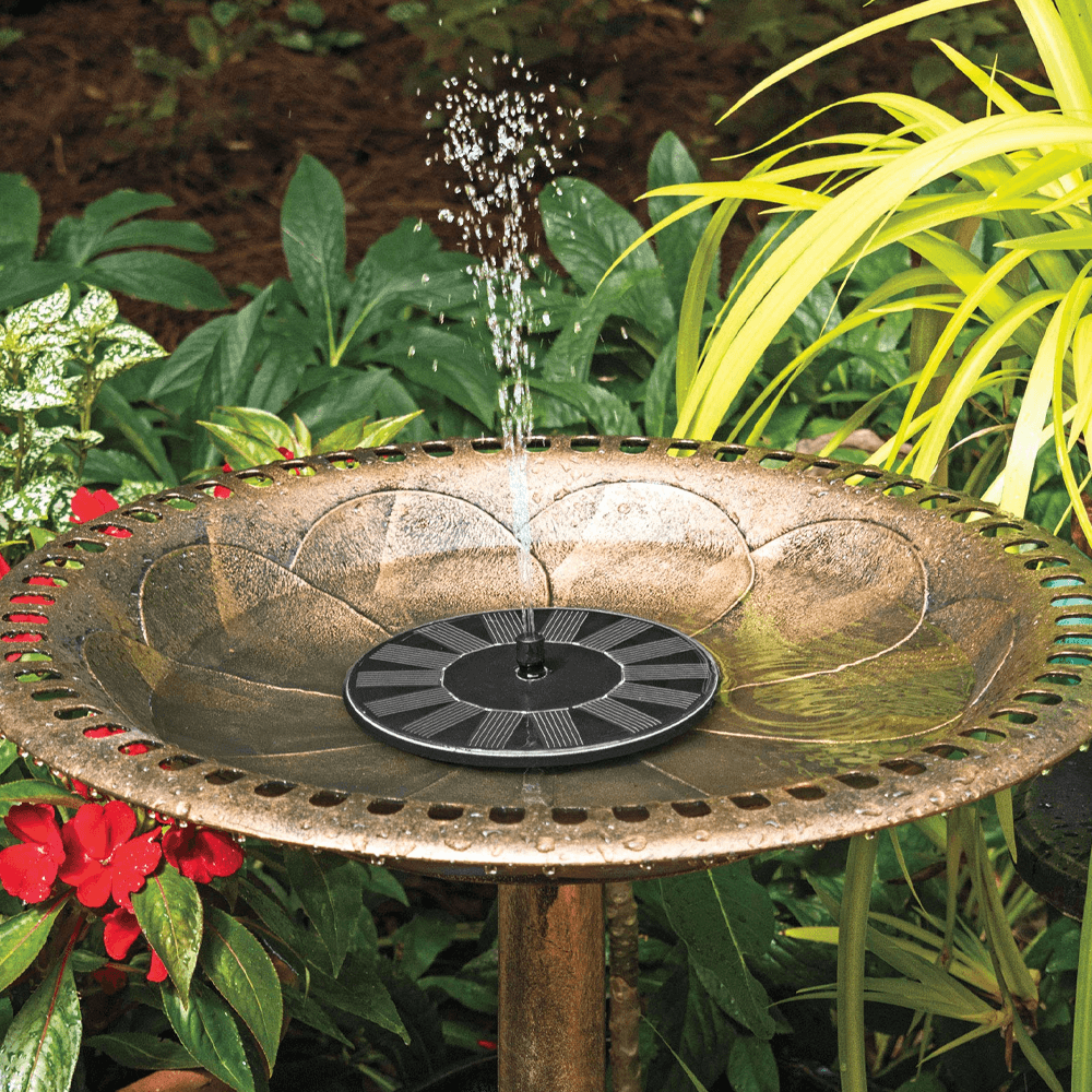 Solar-Powered Bird Fountain Kit - No Setup!