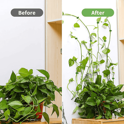 Plant Fixture Clip Fixed Buckle Hook
