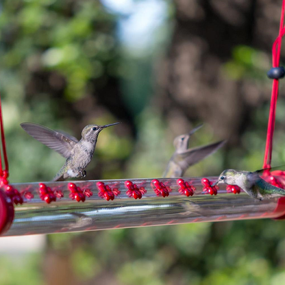 Birds Friends Hummingbird Feeders