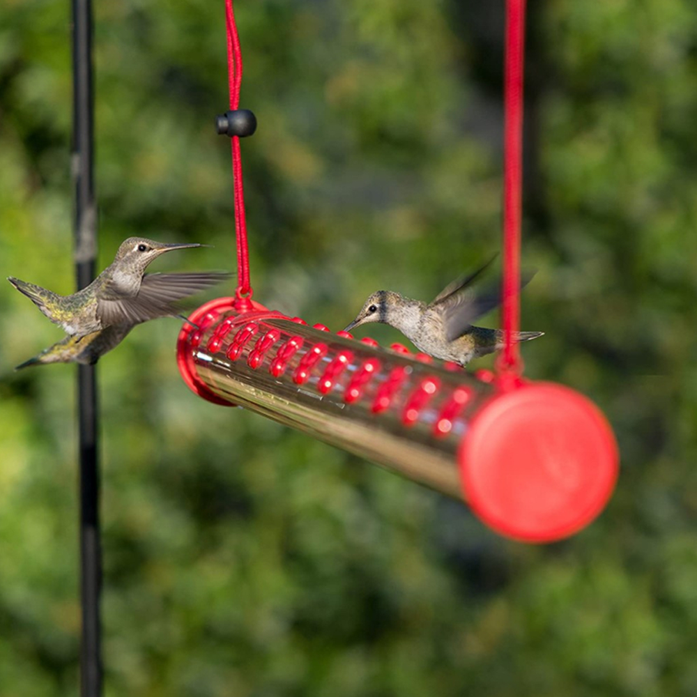 Birds Friends Hummingbird Feeders