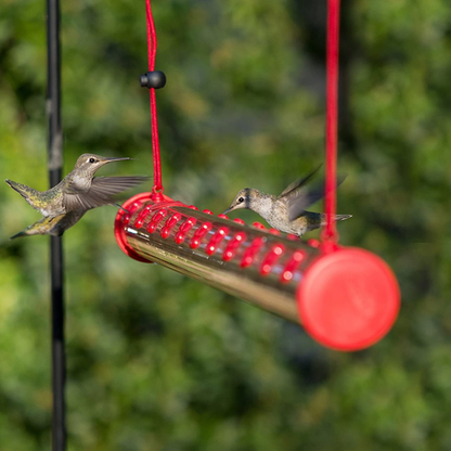 Birds Friends Hummingbird Feeders