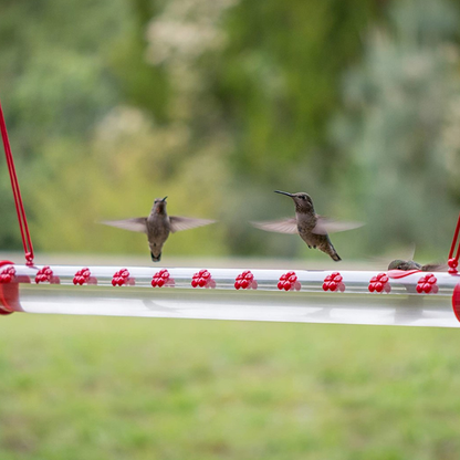 Birds Friends Hummingbird Feeders