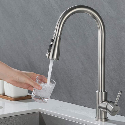 3 Function Kitchen Faucet Spray Head