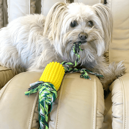 Corn Cob Dog Teeth Cleaning Chew Toy