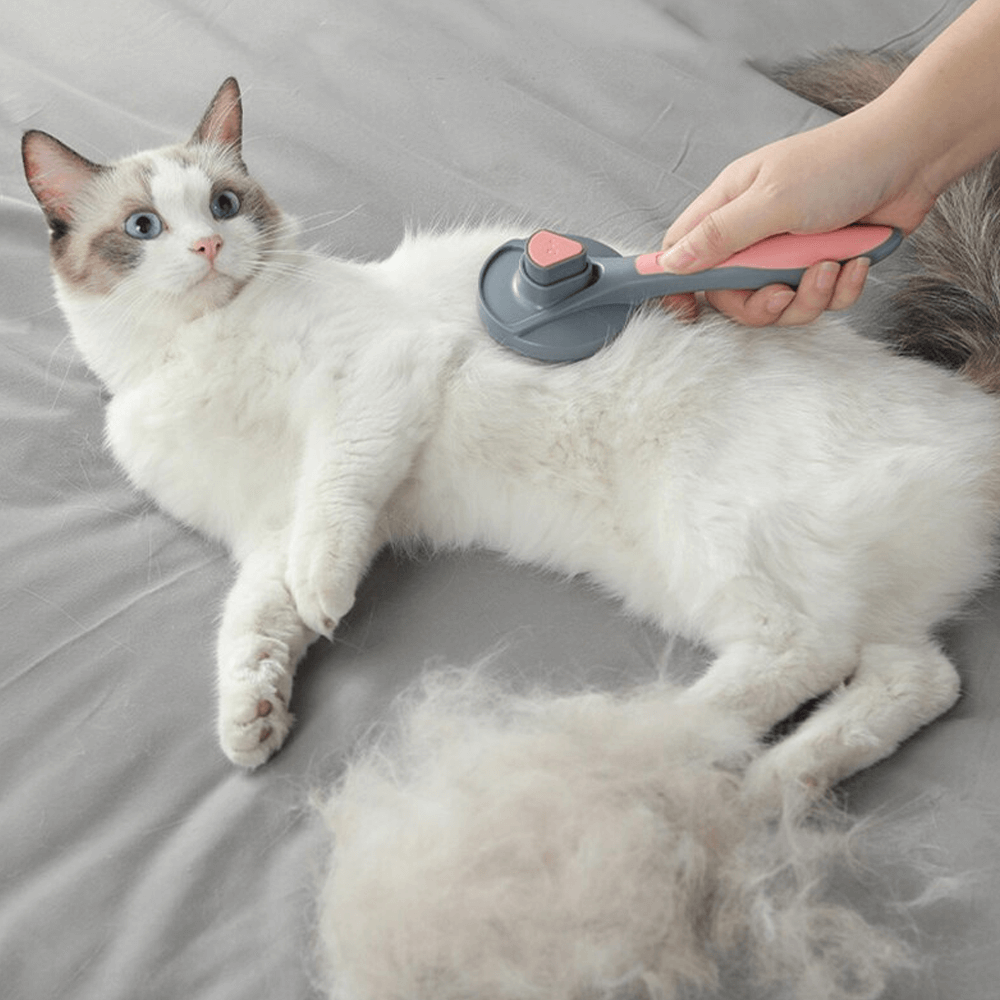 Pet Comb Self Cleaning Brush Professional Dog And Cat Grooming Brush