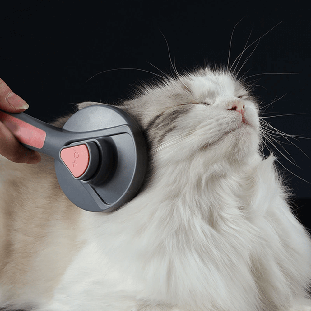 Pet Comb Self Cleaning Brush Professional Dog And Cat Grooming Brush