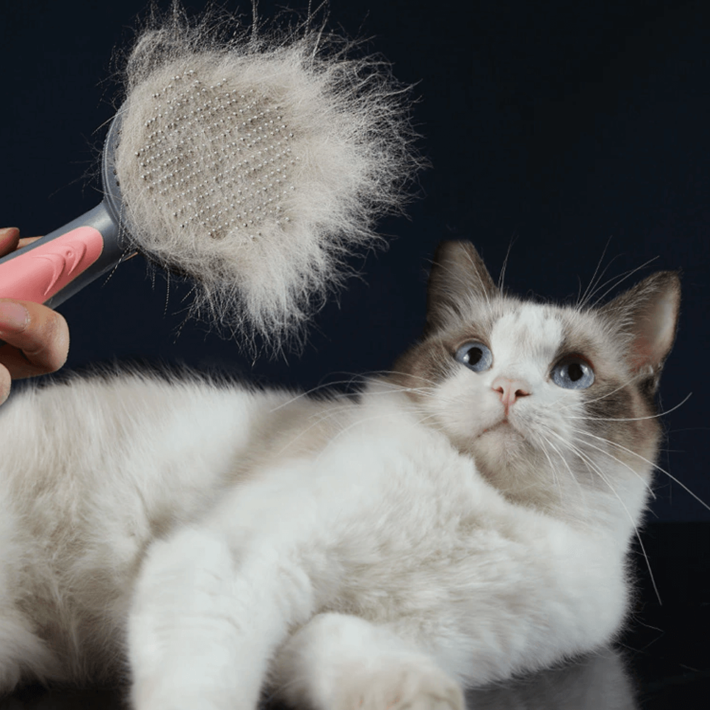 Pet Comb Self Cleaning Brush Professional Dog And Cat Grooming Brush