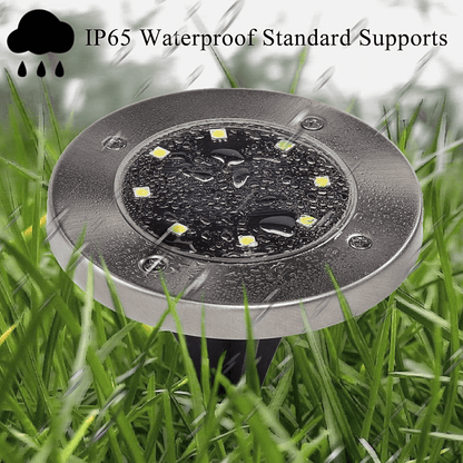 Solar In-Ground Pathway Lights (Set of 4)