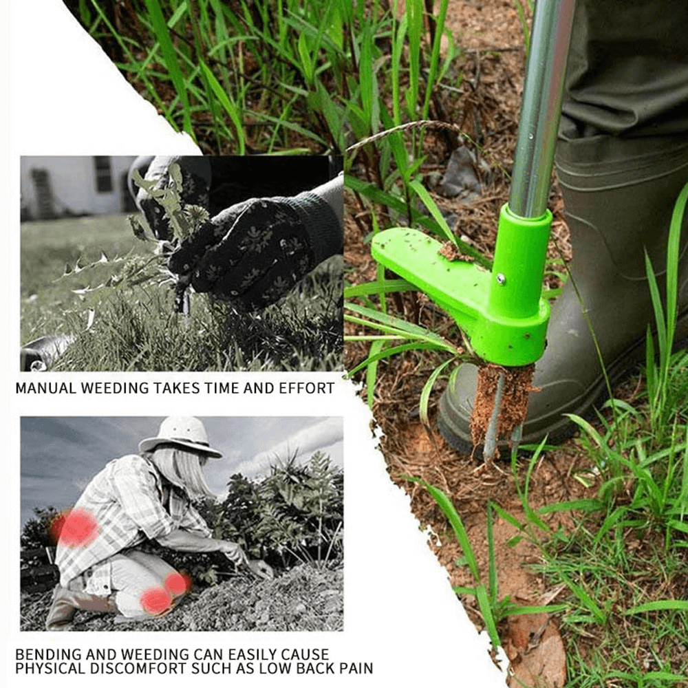 Standing Weed Removal Tool