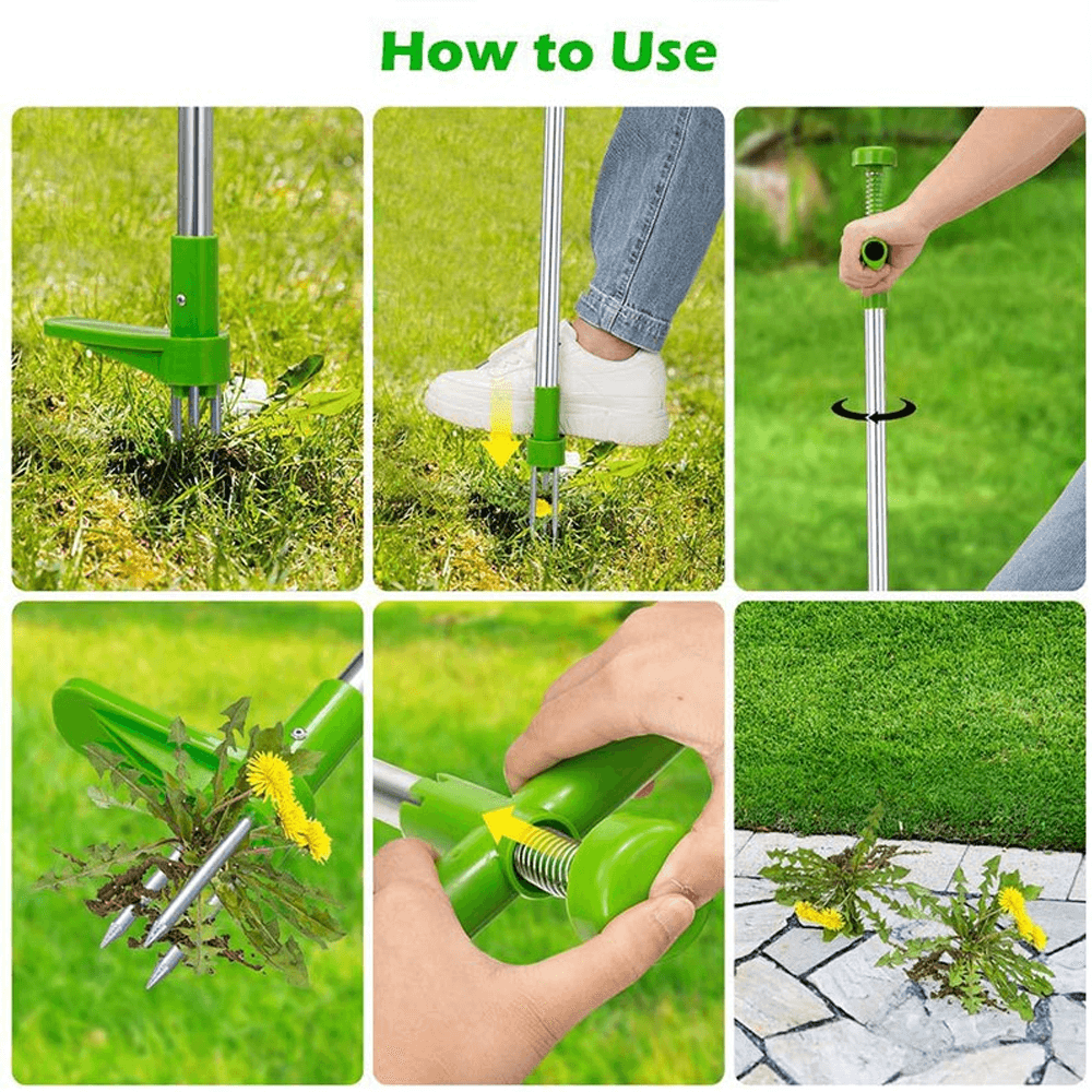 Standing Weed Removal Tool