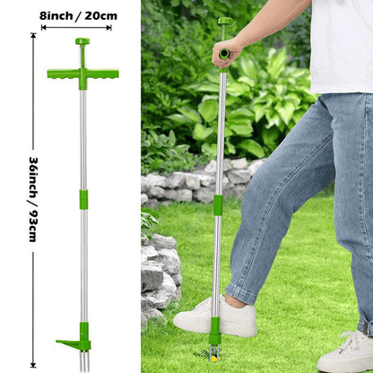 Standing Weed Removal Tool