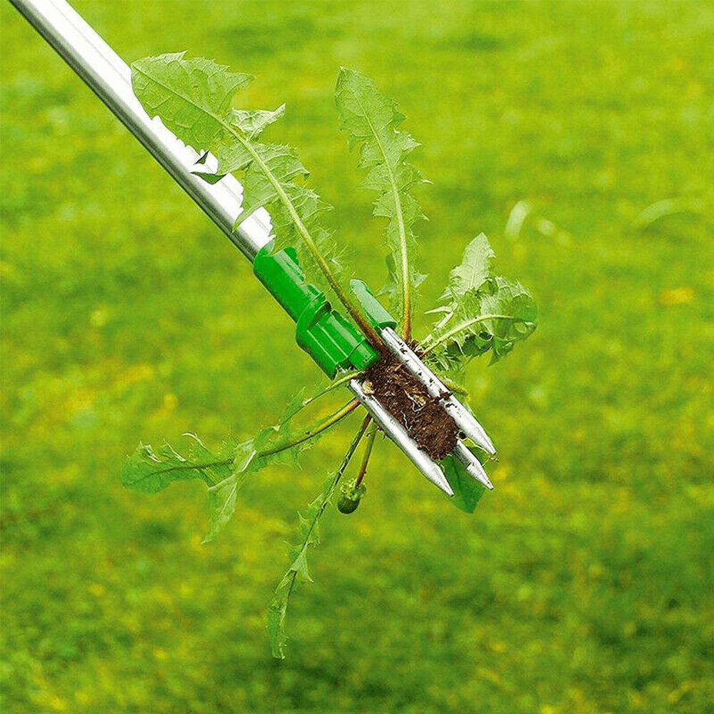 Weed Picker