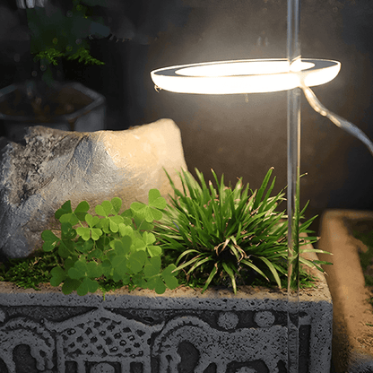 Angel Indoor Grow Lights For Plants - Angel Indoor Grow Lights For Plants
