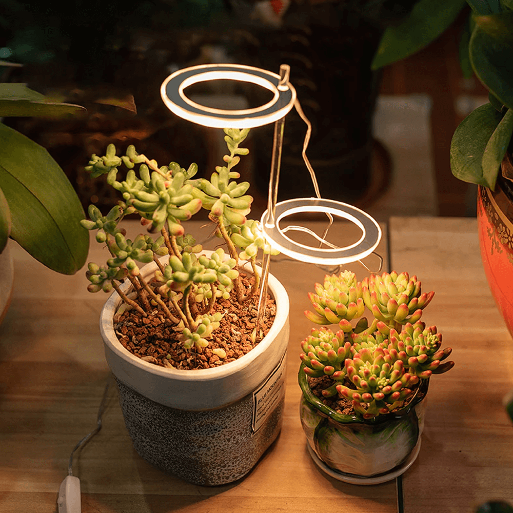 Angel Indoor Grow Lights For Plants - Angel Indoor Grow Lights For Plants
