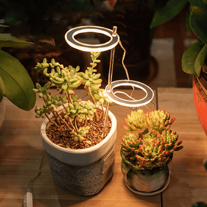 Angel Indoor Grow Lights For Plants - Angel Indoor Grow Lights For Plants