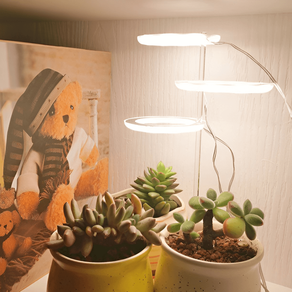 Angel Indoor Grow Lights For Plants - Angel Indoor Grow Lights For Plants