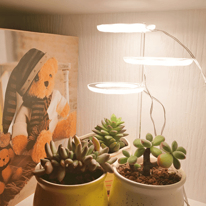 Angel Indoor Grow Lights For Plants - Angel Indoor Grow Lights For Plants