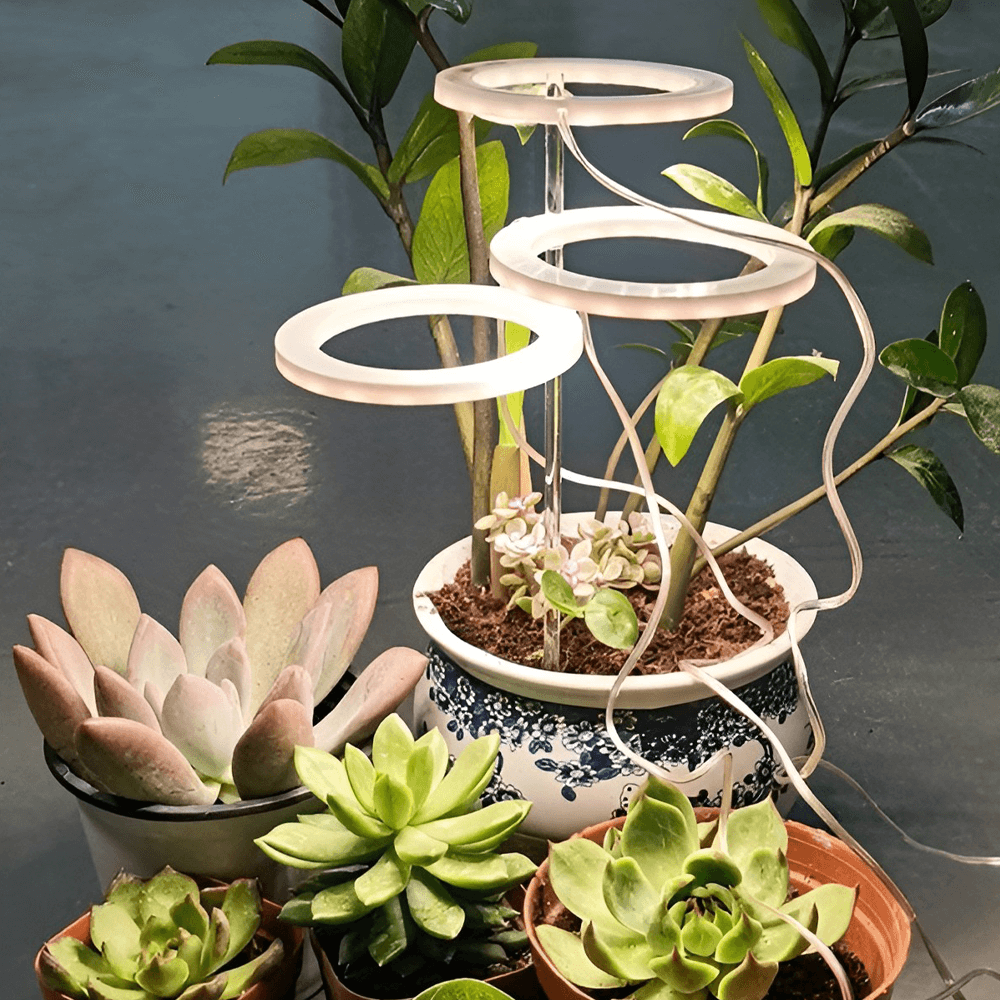 Angel Indoor Grow Lights For Plants - Angel Indoor Grow Lights For Plants
