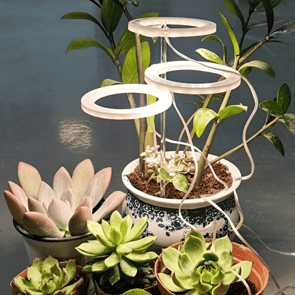 Angel Indoor Grow Lights For Plants - Angel Indoor Grow Lights For Plants