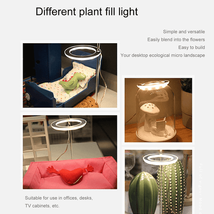 Angel Indoor Grow Lights For Plants - Angel Indoor Grow Lights For Plants