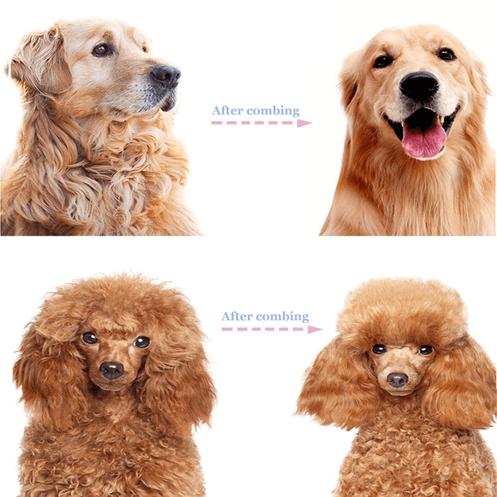 Dematting Tool For Dogs