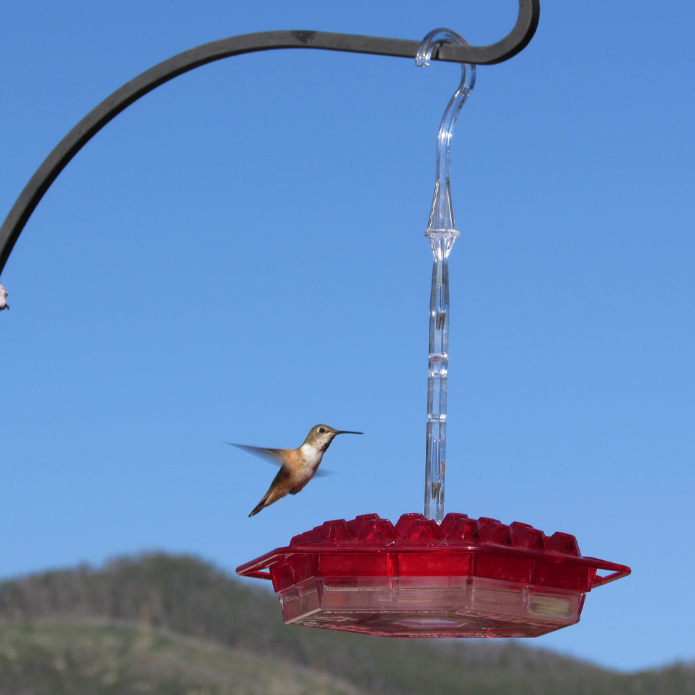 Mary's Sweety Hummingbird Feeder - Mary's Sweety Hummingbird Feeder