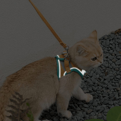 Cat Luminous Harness & Leash Set