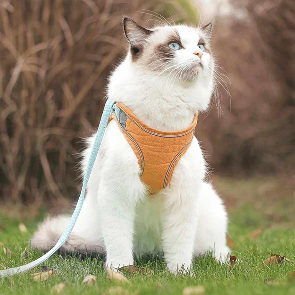 Cat Luminous Harness & Leash Set