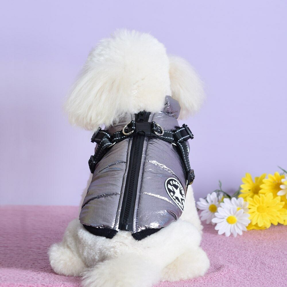 Waterproof Dog Jacket with Harness