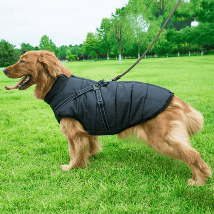 Waterproof Dog Jacket with Harness