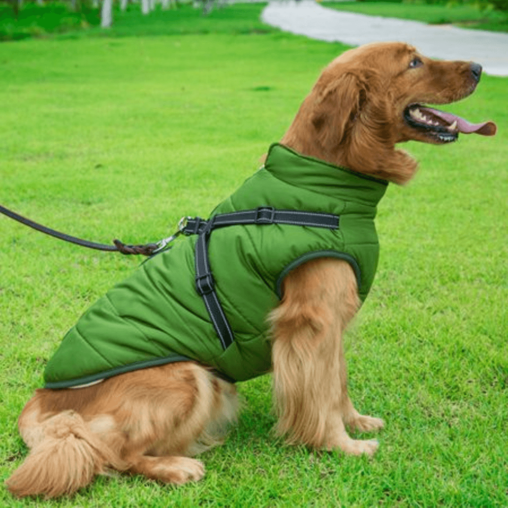 Waterproof Dog Jacket with Harness