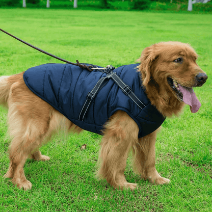 Waterproof Dog Jacket with Harness