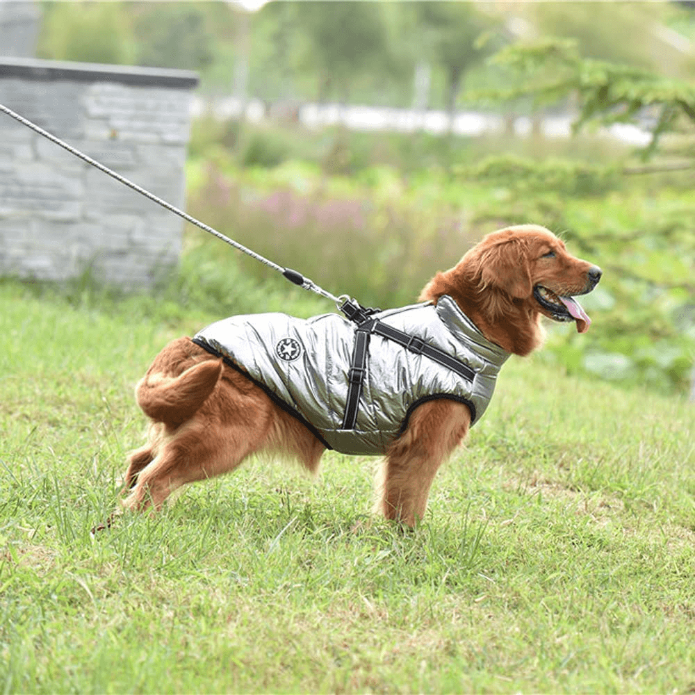 Waterproof Dog Jacket with Harness
