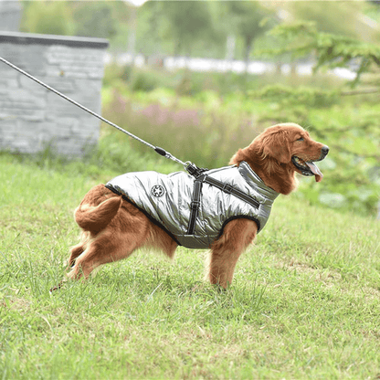 Waterproof Dog Jacket with Harness