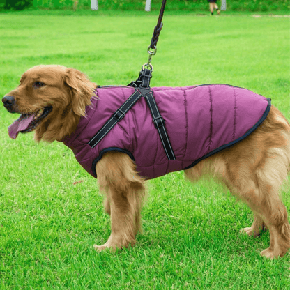 Waterproof Dog Jacket with Harness