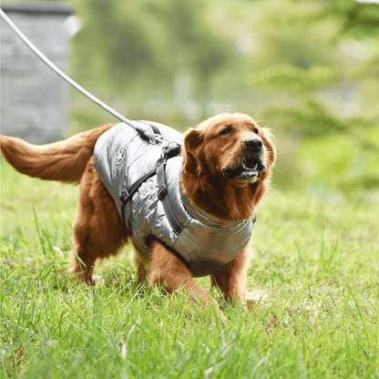 Waterproof Dog Jacket with Harness