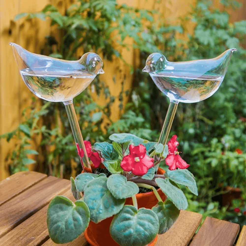 Bird Shaped Plant Self Watering Glass Globe