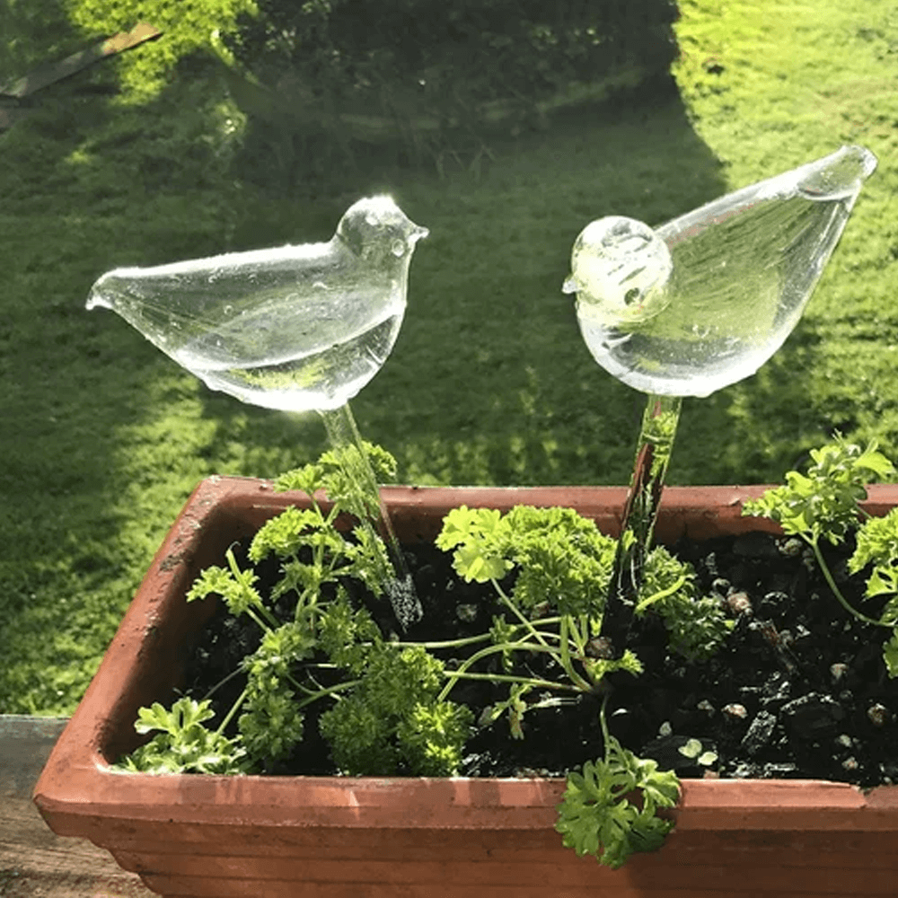 Bird Shaped Plant Self Watering Glass Globe